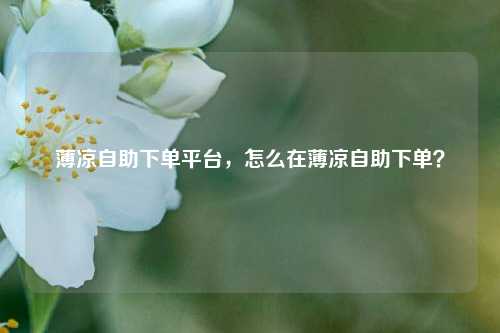 薄凉自助下单平台，怎么在薄凉自助下单？