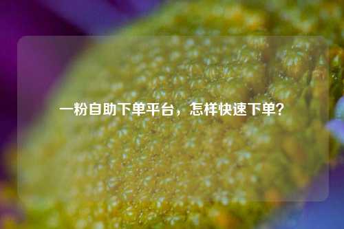 一粉自助下单平台，怎样快速下单？
