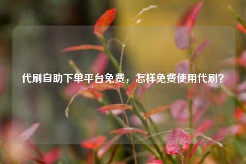 代刷自助下单平台免费，怎样免费使用代刷？