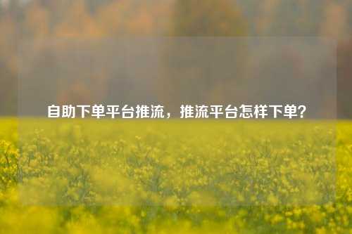 自助下单平台推流，推流平台怎样下单？