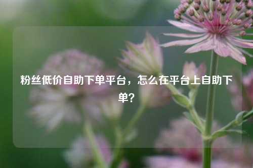 粉丝低价自助下单平台，怎么在平台上自助下单？