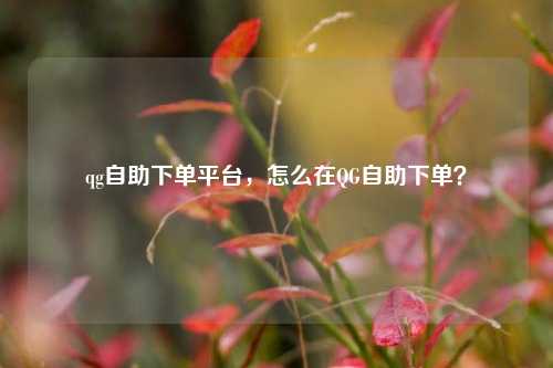 qg自助下单平台，怎么在QG自助下单？