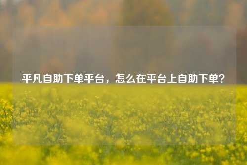 平凡自助下单平台，怎么在平台上自助下单？