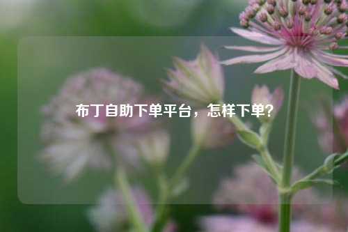布丁自助下单平台，怎样下单？
