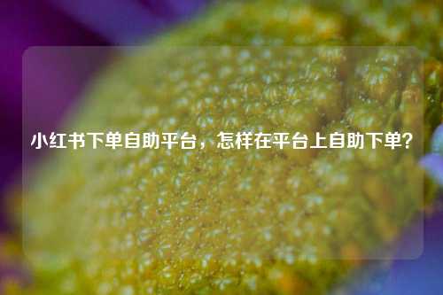小红书下单自助平台，怎样在平台上自助下单？