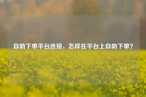 自助下单平台连接，怎样在平台上自助下单？