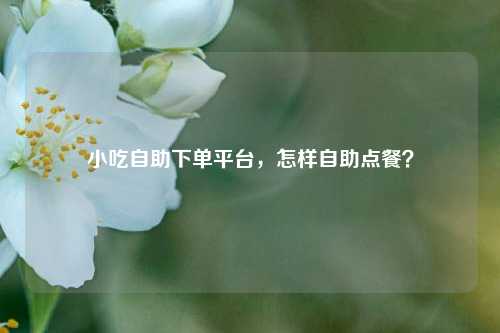 小吃自助下单平台，怎样自助点餐？