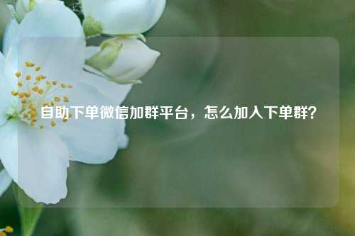 自助下单微信加群平台，怎么加入下单群？