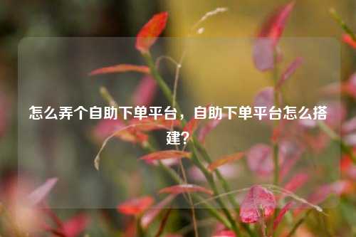 怎么弄个自助下单平台，自助下单平台怎么搭建？