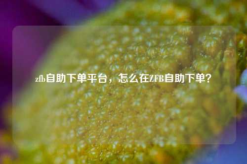 zfb自助下单平台，怎么在ZFB自助下单？