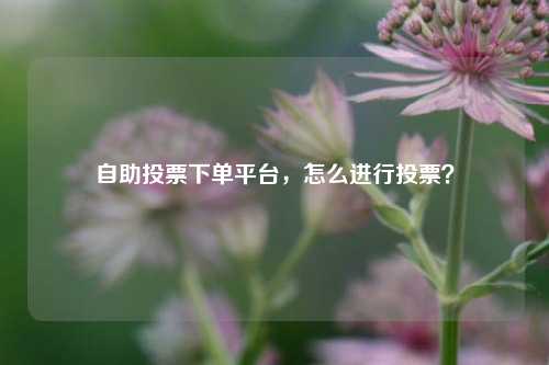 自助投票下单平台，怎么进行投票？
