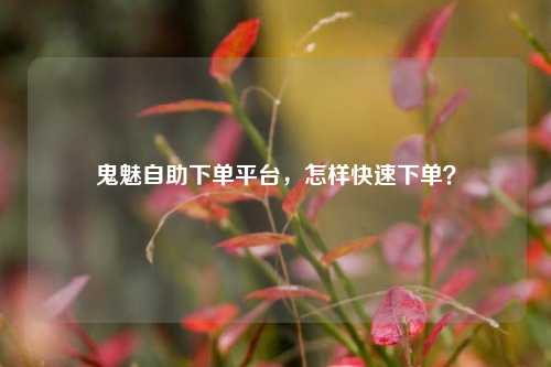 鬼魅自助下单平台，怎样快速下单？